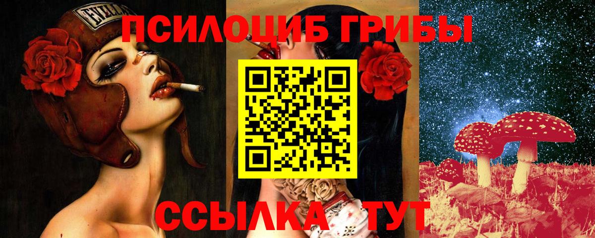Псилоцибиновые грибы Psilocybine cubensis Новотроицк