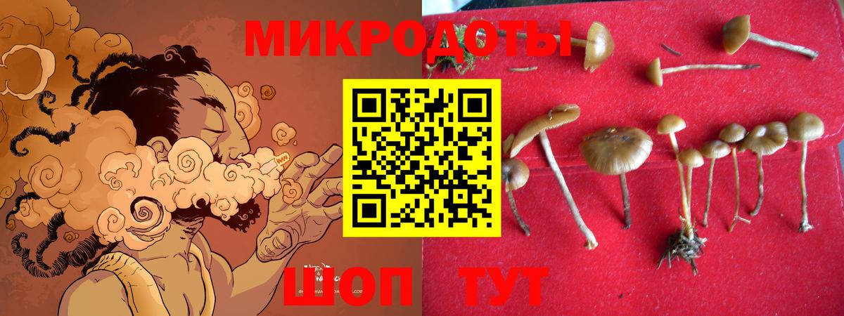 Новотроицк  Псилоцибиновые грибы Cubensis  Вход с VPN  продажа наркотиков  Галлюциногенные грибы Psilocybe 